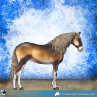 Horse Color:White Spotted Chocolate Palomino Onyx Rabicano 