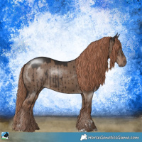 Horse Color:Liver Red Dun Sabino Rabicano Brindle 