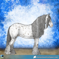 Horse Color:Grullo Onyx Sabino Splash Appaloosa Rabicano Brindle 