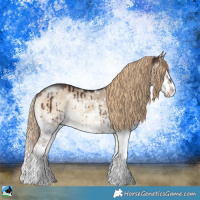 Horse Color:Liver Red Dun Onyx Sabino Splash Rabicano Brindle 