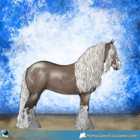Horse Color:Liver Red Dun Mushroom Sabino Splash Rabicano Brindle