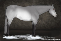 Horse Color:Buckskin Chinchilla Varnish 