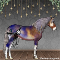 Horse Color:Silver Buckskin Onyx 