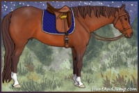 Horse Color:Chocolate Bay 