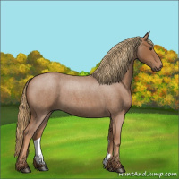 Horse Color:Red Roan 