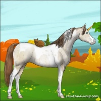 Horse Color:Smoky Grullo Pearl Sabino Tobiano Brindle 