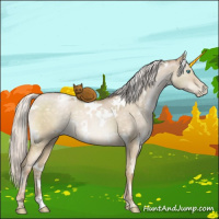 Horse Color:White Spotted Silver Buckskin Pearl Dun Mushroom 