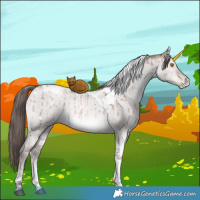 Horse Color:Platinum White Spotted Brown Pearl Dun Tobiano Brindle 