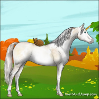Horse Color:Gray White Spotted Silver Sable Champagne Pearl Onyx