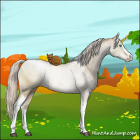 Horse Color:Chocolate Palomino Pearl Dun Mushroom Sabino Tobiano Brindle 