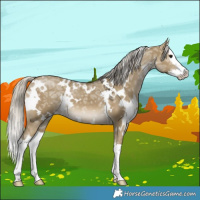 Horse Color:White Spotted Silver Smoky Grullo Ice Splash