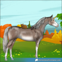 Horse Color:Liver Red Dun Mushroom Sabino 