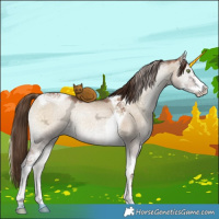 Horse Color:Liver Red Dun Ice Pearl Onyx Sabino Tobiano 