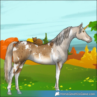 Horse Color:White Spotted Chocolate Palomino Dun Tobiano Rabicano Brindle 