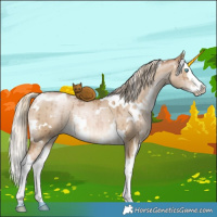 Horse Color:White Spotted Chocolate Palomino Pearl Dun Splash Brindle