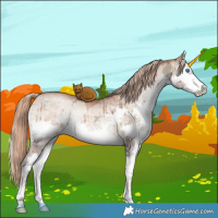 Horse Color:Liver Red Dun Ice Pearl Onyx Sabino Splash Brindle 