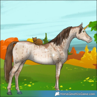 Horse Color:White Spotted Liver Red Dun Pearl Brindle 