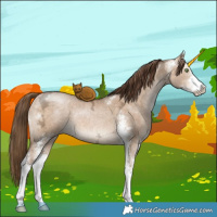Horse Color:Brown Ice Pearl Dun Sabino Brindle 