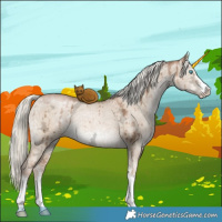 Horse Color:Liver Red Dun Ice Pearl Mushroom Sabino Brindle 