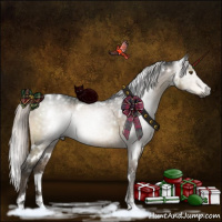 Horse Color:Gray White Spotted Silver Brown Dun Sabino Brindle