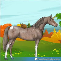 Horse Color:Liver Red Dun Ice Tobiano Brindle 