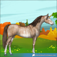 Horse Color:Gray Liver Red Dun Pearl Sabino Brindle 