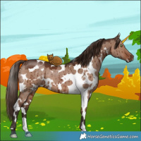 Horse Color:White Spotted Liver Red Dun Tobiano Brindle 