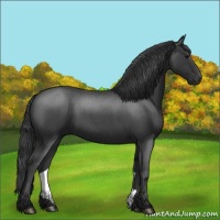 Horse Color:Blue Roan 