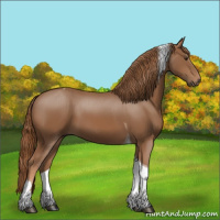 Horse Color:Chestnut Tobiano 
