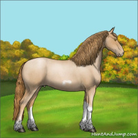 Horse Color:Red Roan Pearl Tobiano Frame 