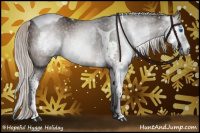 Horse Color:Gray Silver Brown Sabino Splash Tobiano 