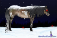 Horse Color:White Spotted Brown 