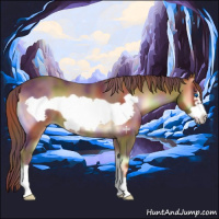 Horse Color:Nacre Red Onyx Frame 