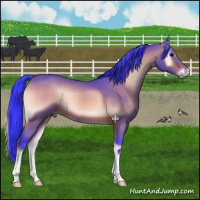 Horse Color:Watercolor Bay Onyx 