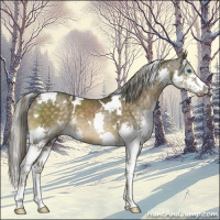 Horse Color:White Spotted Chocolate Palomino Mushroom Splash 
