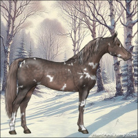 Horse Color:Platinum White Spotted Liver Chestnut Rabicano 