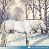 Horse Color:Smoky Creme Roan Tobiano 
