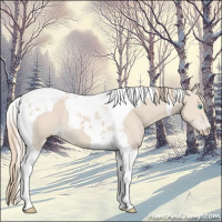 Horse Color:Smoky Creme Tobiano 