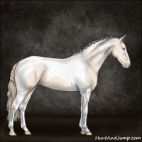 Horse Color:Perlino Tobiano