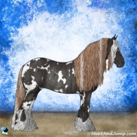 Horse Color:White Spotted Liver Chestnut Rabicano 