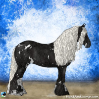 Horse Color:White Spotted Liver Chestnut Ice Mushroom Sabino Rabicano 