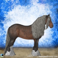 Horse Color:Liver Chestnut Mushroom 