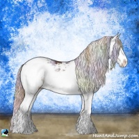 Horse Color:Nacre Liver Chestnut Sabino Rabicano
