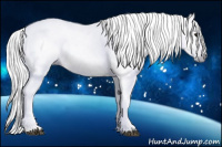 Horse Color:Gray Bay Roan Appaloosa 