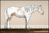 Horse Color:White Spotted Liver Chestnut Pearl Mushroom 