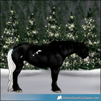 Horse Color:White Spotted Silver Smoky Black Ice Frame Appaloosa 