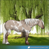 Horse Color:White Spotted Liver Red Dun Mushroom 