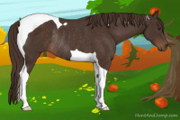 Horse Color:Liver Chestnut Tobiano Rabicano