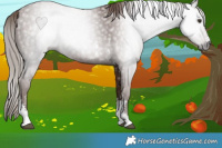 Horse Color:Gray Chestnut Sabino