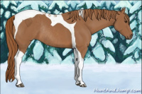 Horse Color:Chestnut Tobiano Rabicano 